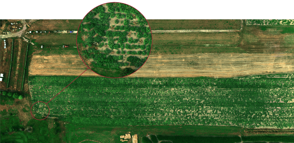 Altum 3-in-1 Multispectral+ Ag Camera - HSE-UAV